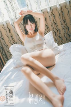 梁能美豹四案件